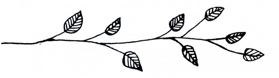happy acorn illustratie