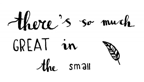 happy acorn great in the small illustratie ninamaakt