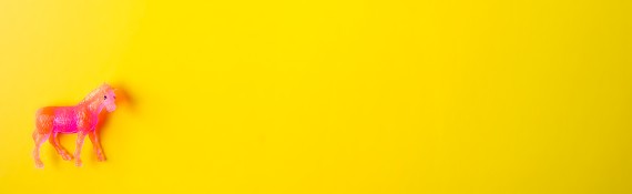 happy acorn roze paard