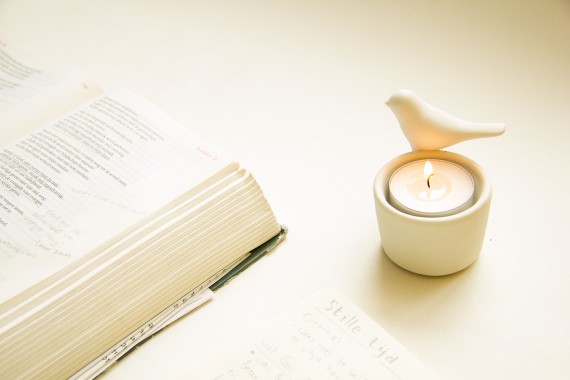 happy acorn stille tijd God