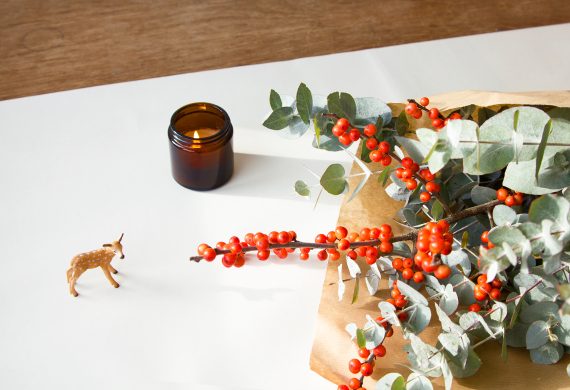 happy acorn winterfeelings