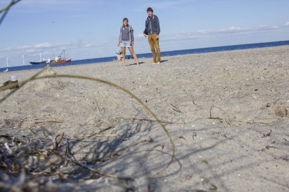 happy acorn ninamaakt kopenhagen
