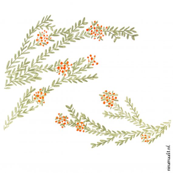 happy acorn ninamaakt lijsterbes