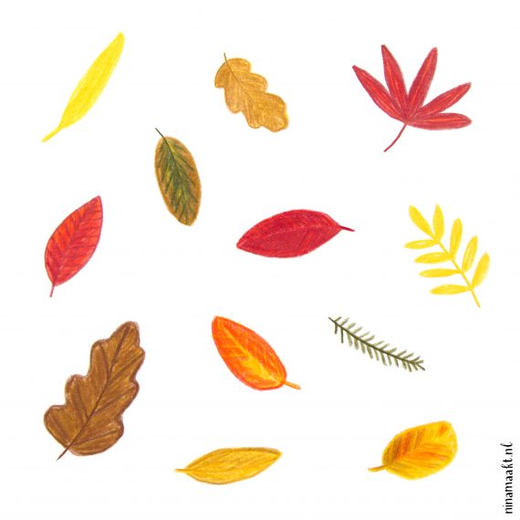 ninamaakt herfstblaadjes